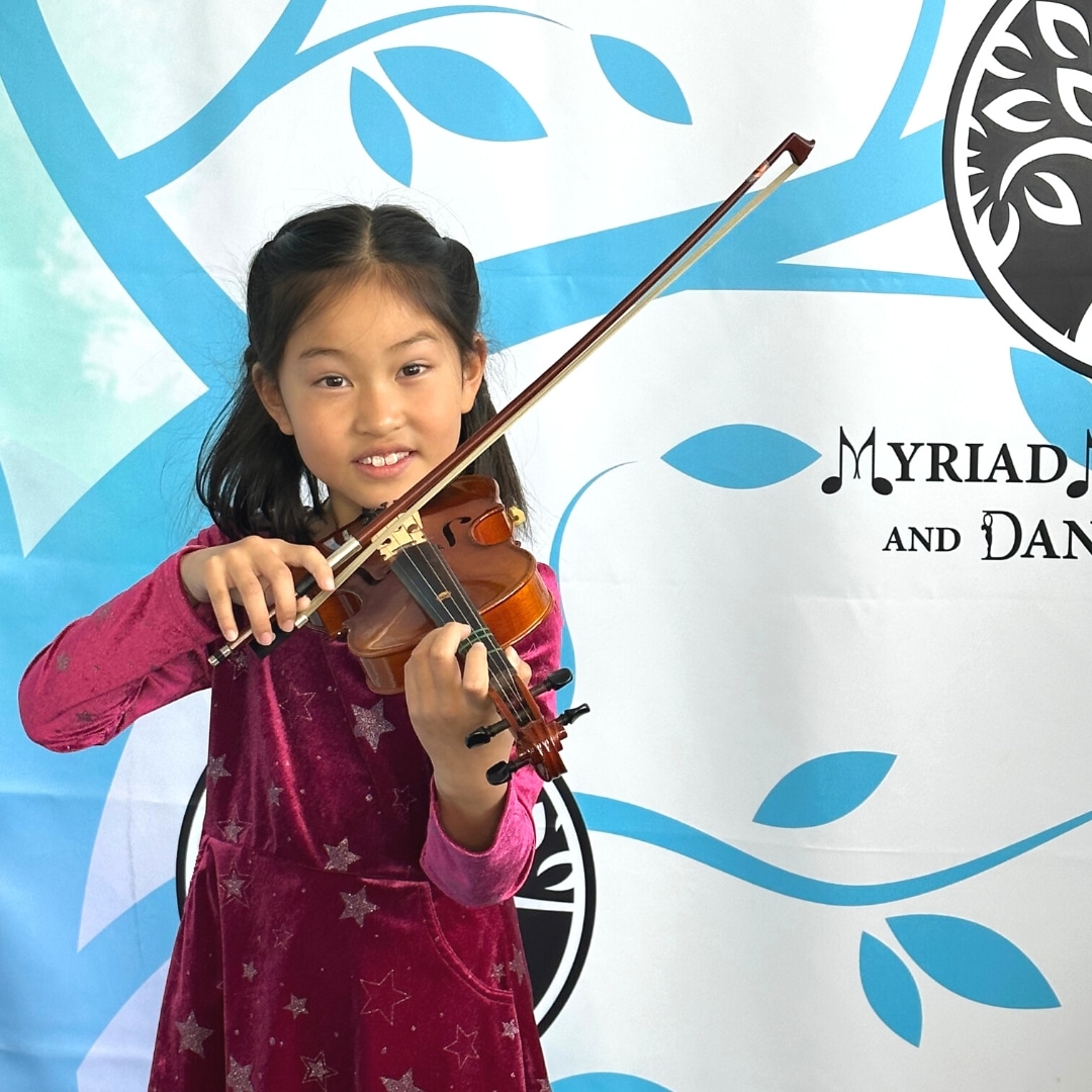 The Violin